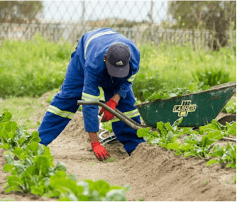 Agriculture Image 1